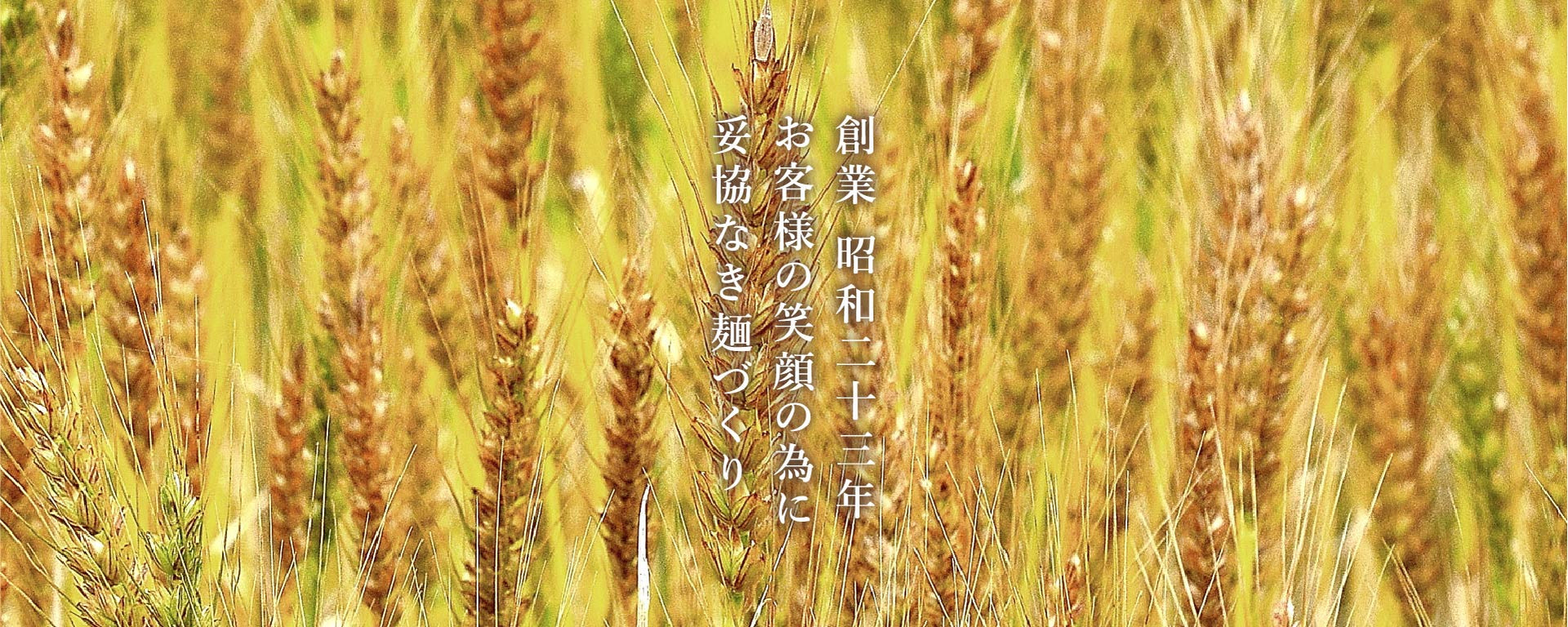 須藤製麺工場